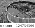Wooden barrel, black, for background 124734399