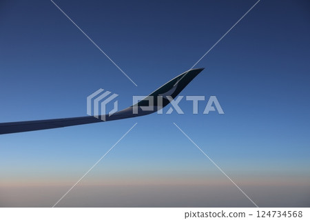 飛機機翼 124734568
