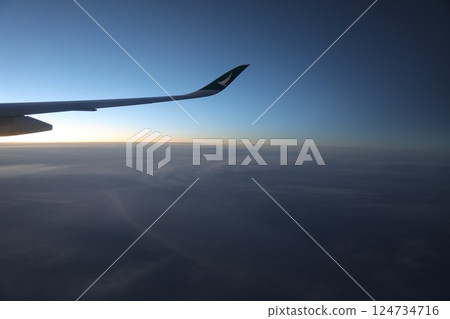 飛機機翼 飛機機翼 124734716