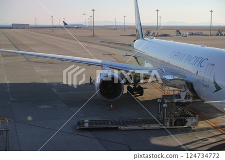 airliner 124734772