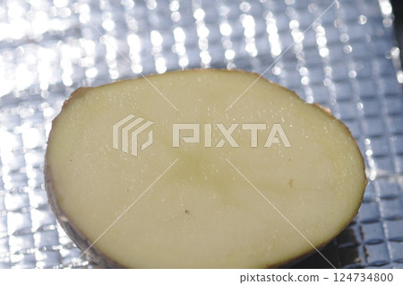 Amateur's field: Potato planting Amateur's field: Potato planting 124734800