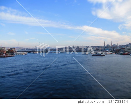 Türkiye Istanbul Diorama Style 124735154