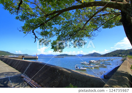 Small boats lined up on the coast of Yasuura Town (Kure City) Small boats lined up on the coast of Yasuura Town (Kure City) 124735987