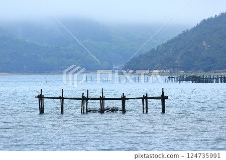 Oyster farming in net cages Oyster farming in net cages 124735991