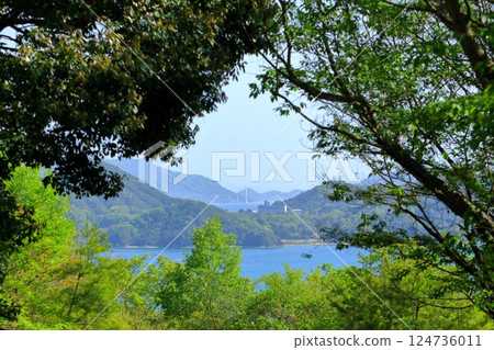 透過樹木望去的瀨戶內海 124736011