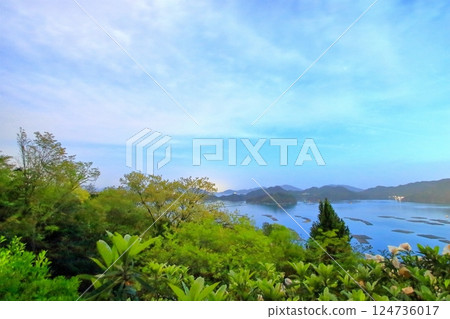 Spring scenery of Setouchi in the moonlight Spring scenery of Setouchi in the moonlight 124736017