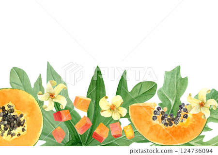 Papaya fruit slice, cubes, leaf and flowers watercolor horizontal frame isolated on white. Hand drawn illustration perfect for cards, banners, tape, textile, stationary design. Exotic plant clipart Papaya fruit slice, cubes, leaf and flowers watercolor horizontal frame isolated on white. Hand drawn illustration perfect for cards, banners, tape, textile, stationary design. Exotic plant clipart 124736094