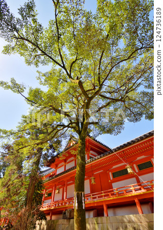 Corridor of Iwashimizu Hachiman Shrine 124736189