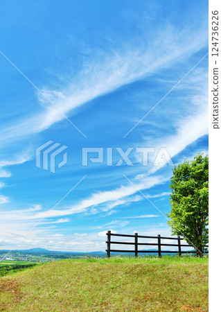 Hokkaido: Summer blue sky and park Hokkaido: Summer blue sky and park 124736226