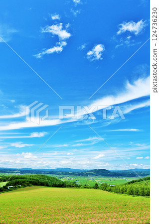 Hokkaido summer blue sky and earth 124736230