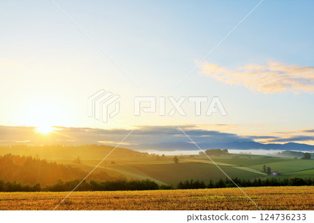 北海道美瑛黎明 124736233