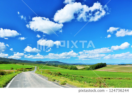 The blue sky of Hokkaido summer and the way of Biei 124736244