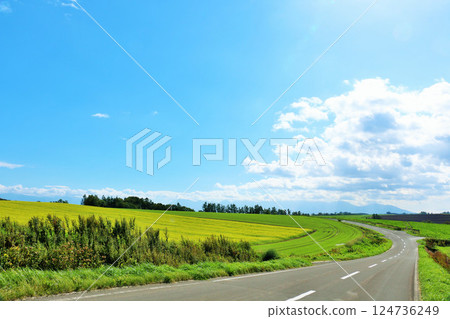 北海道夏天的藍天和美瑛的方式 北海道夏天的藍天和美瑛的方式 124736249