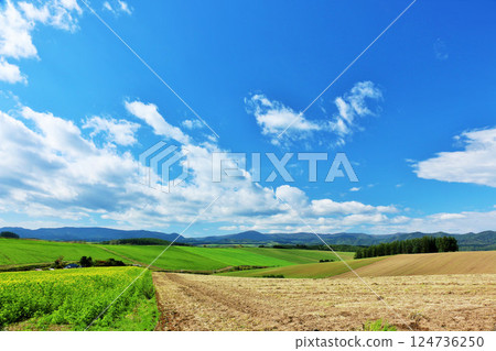 北海道夏天藍天和Biei風景 124736250