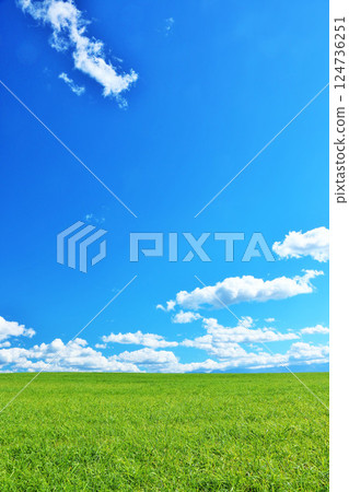 Hokkaido summer blue sky and fresh green meadow scenery Hokkaido summer blue sky and fresh green meadow scenery 124736251