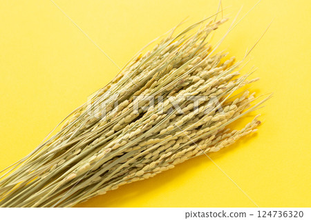 米穗米 米穗米 124736320