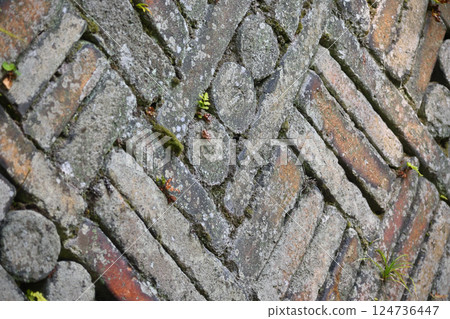 窯的直徑小 窯的直徑小 124736447