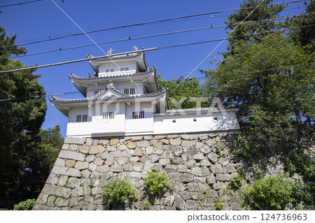 Tsu Castle Ruins 124736963