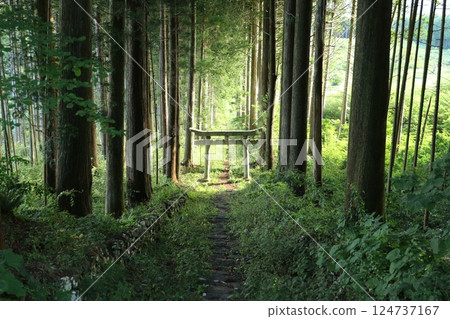 Arato Shrine 6 124737167