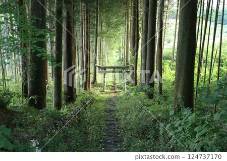 Arato Shrine 3 Arato Shrine 3 124737170