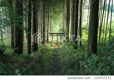 Arato Shrine 2 124737171