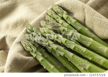 北海道新鮮美味的蘆筍 北海道新鮮美味的蘆筍 124737228