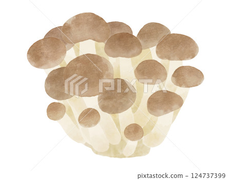 水彩風格 Shimeji 蘑菇插畫 124737399