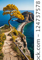 Tree on a cliff 124737578