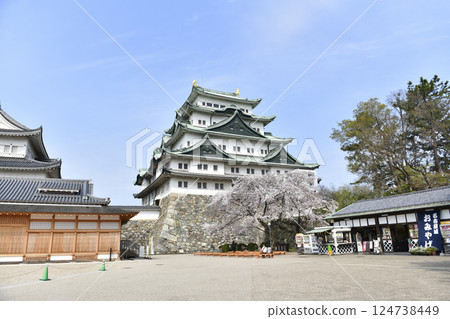 春天名古屋城堡 春天名古屋城堡 124738449