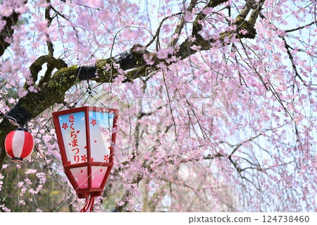 Spring Nagoya Castle Spring Nagoya Castle 124738460