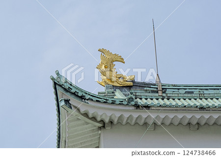 春天名古屋城堡 124738466