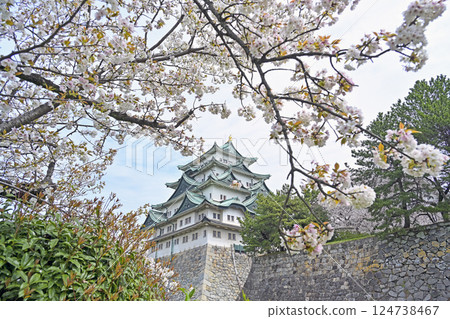 春天名古屋城堡 124738467