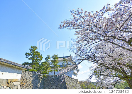 春天名古屋城堡 124738483