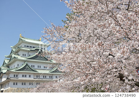 春天名古屋城堡 124738490