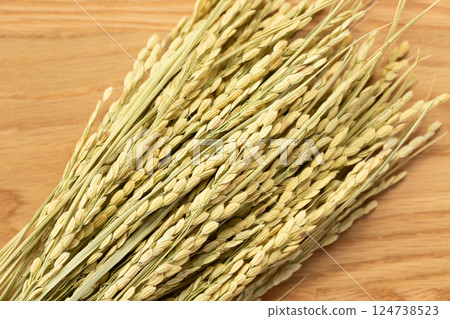 Rice panicle of rice Rice panicle of rice 124738523