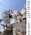 Hiroshima Castle 124738708