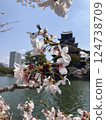 Hiroshima Castle 124738709