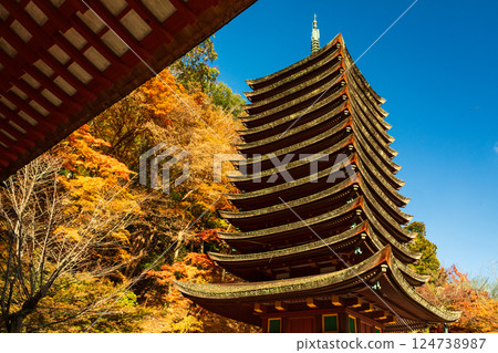 秋天的談山神社十三層塔（重要文化遺產） 124738987