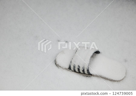 涼鞋埋在雪裡 涼鞋埋在雪裡 124739005