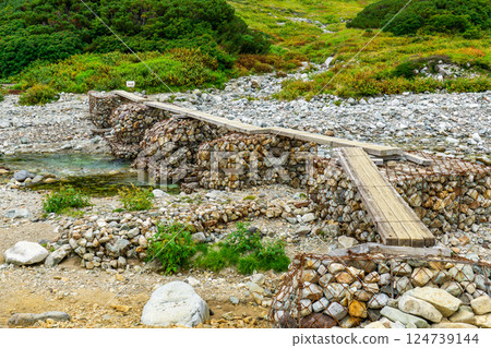 Log bridge over the Shomyo River (Raichosawa Campground) Climbing Mount Tsurugi in the Northern Alps 124739144