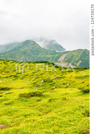 天狗平和奧大日岳（從室堂平望去） 攀登北阿爾卑斯山的劍岳 124739170