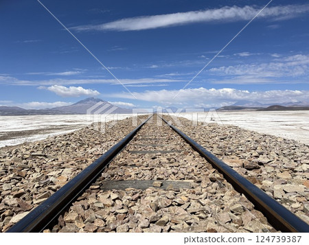 Railroad tracks and horizon 124739387