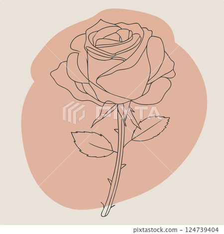 Minimal botanical hand drawing design for logo and wedding invitation. Floral line art. 124739404