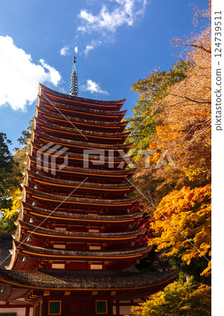 秋天的談山神社十三層塔(重要文化遺產) 秋天的談山神社十三層塔(重要文化遺產) 124739511