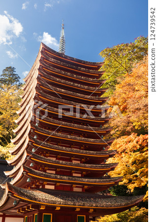 秋天的談山神社十三層塔（重要文化遺產） 124739542