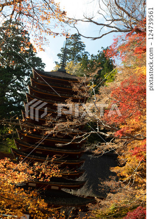 秋天的談山神社十三層塔(重要文化遺產) 秋天的談山神社十三層塔(重要文化遺產) 124739561