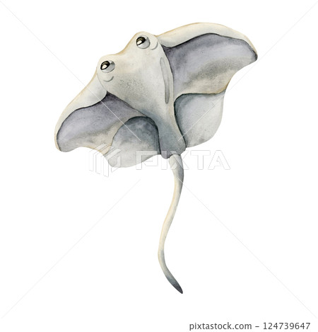 Cute Stingray. Sea marine animal. Ocean inhabitant. Adorable underwater world creature watercolor hand painted illustration isolated on white background for kids nursery wall decor sticker baby shower Cute Stingray. Sea marine animal. Ocean inhabitant. Adorable underwater world creature watercolor hand painted illustration isolated on white background for kids nursery wall decor sticker baby shower 124739647