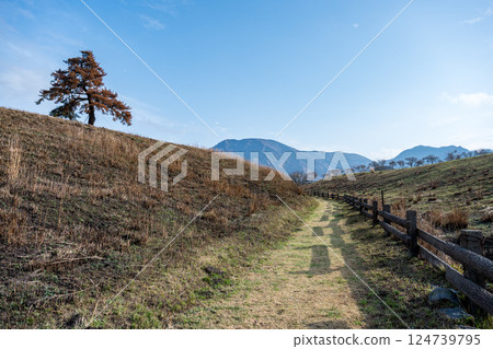 Scenery of Aso after field burning 124739795