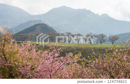 火燒過後的阿蘇風景 124739821