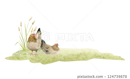 Grazing chicken hen grazing on green field grass watercolor isolated illustration. Realistic farm brown birds clipart for horizontal farming designs and rustic organic products templates 124739878